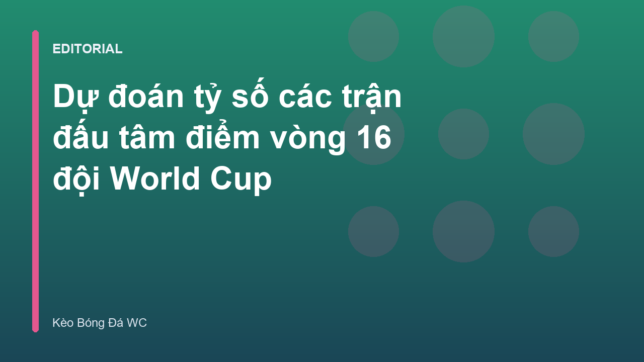 Cầu thủ thi đấu tại vòng 16 đội World Cup